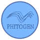 Cертифицированный тренер компании Phitogen